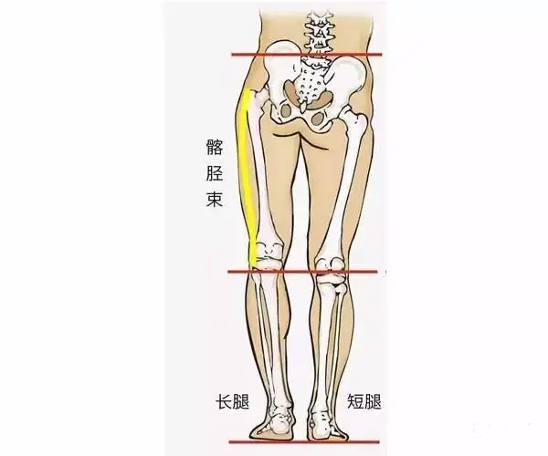 长短腿