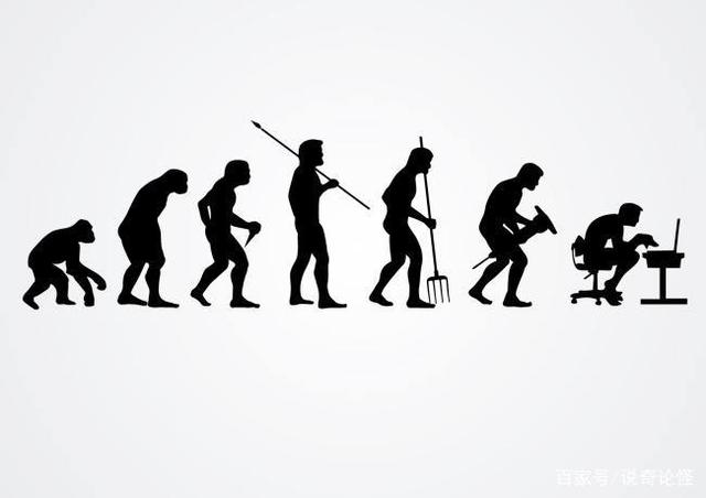 人类进化史