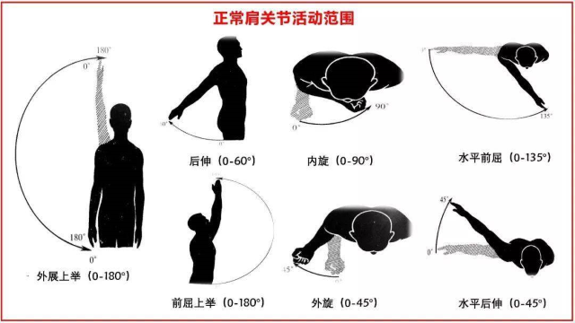 正常肩关节活动范围