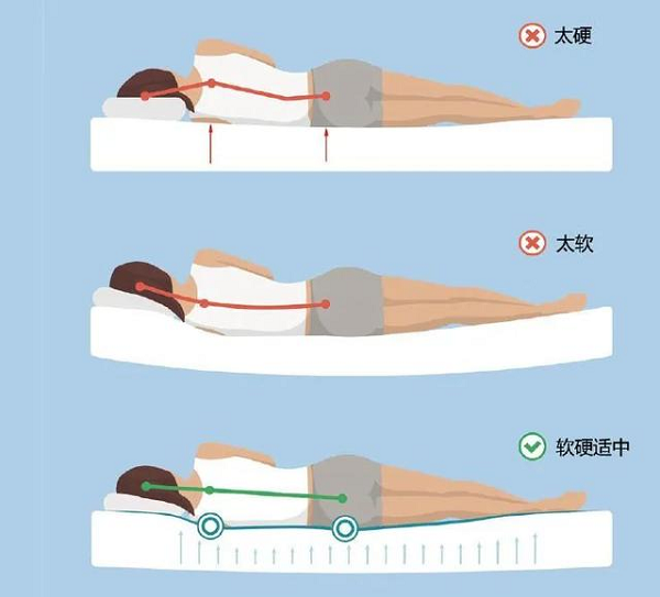 床要软硬适中